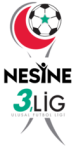 3. Lig Group 3